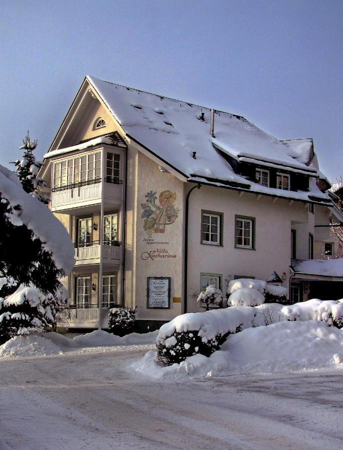 Villa Katharina Penthouse Wohnung Willingen  Zewnętrze zdjęcie